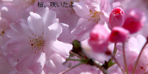jumppika's profile banner image