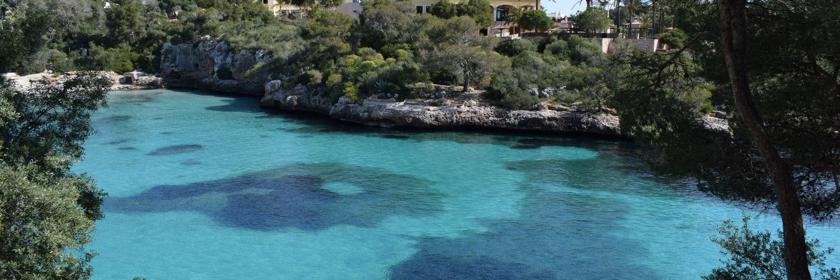 Debbie Clinton banner