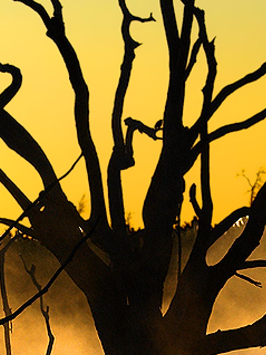 ovusquli's profile banner image