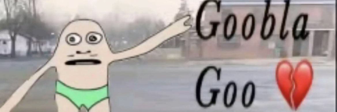 Stevie S. banner