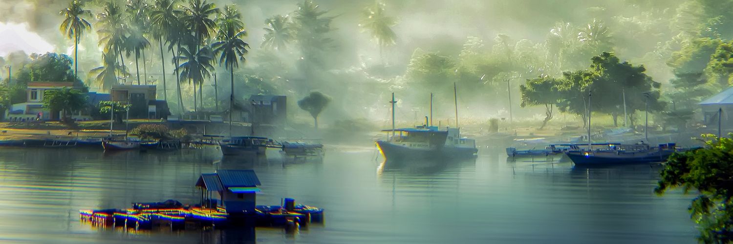 Twitter banner for @tofifoto
