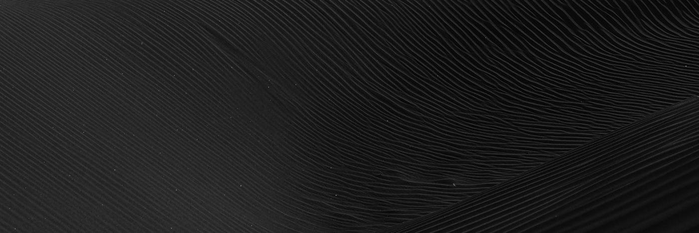 Daniel Ruston banner