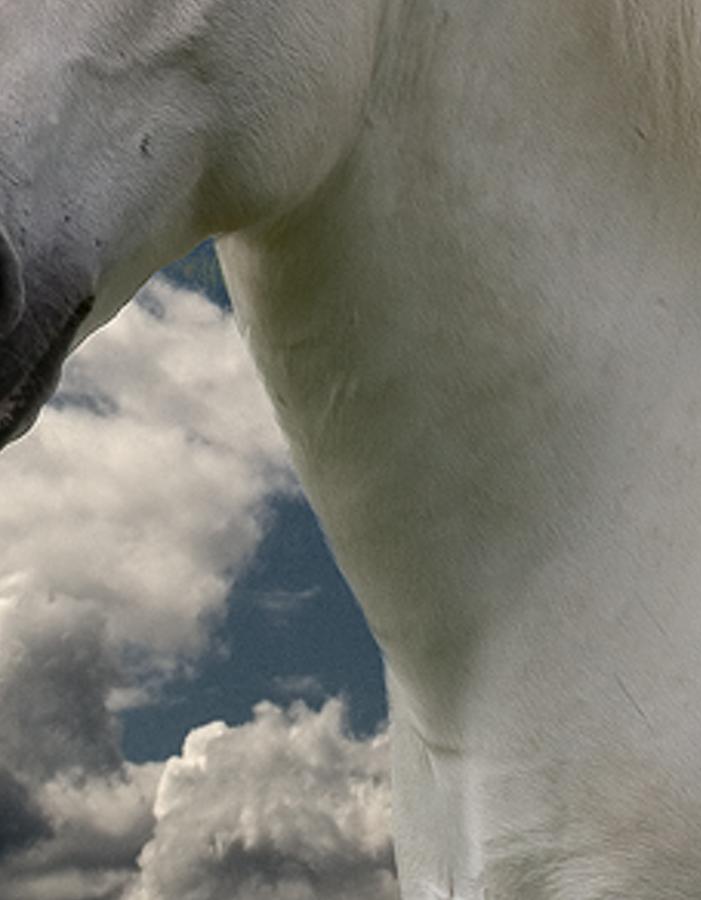atrrci's profile banner image