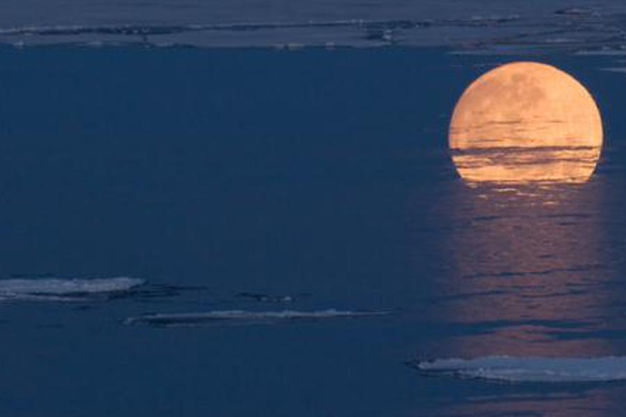 crcingu's profile banner image