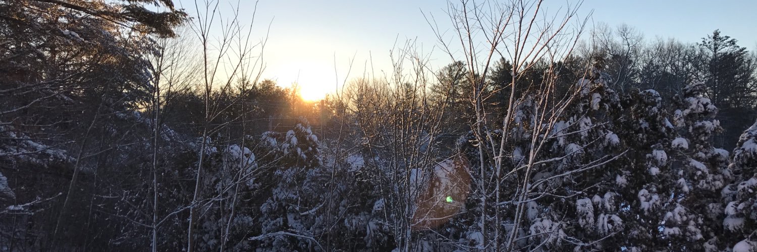 Jacjax's profile banner image
