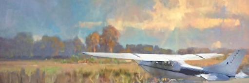 fvcostanza's profile banner image