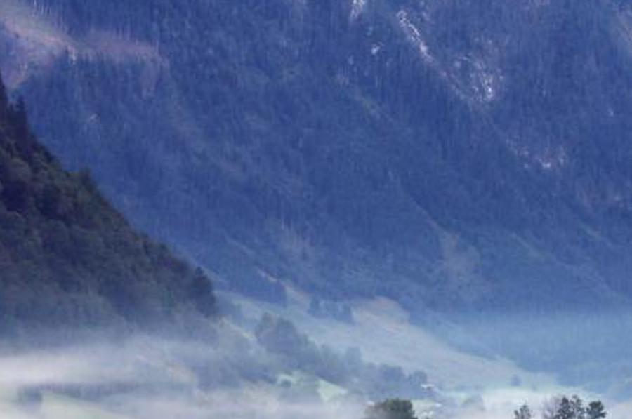 edaltr's profile banner image