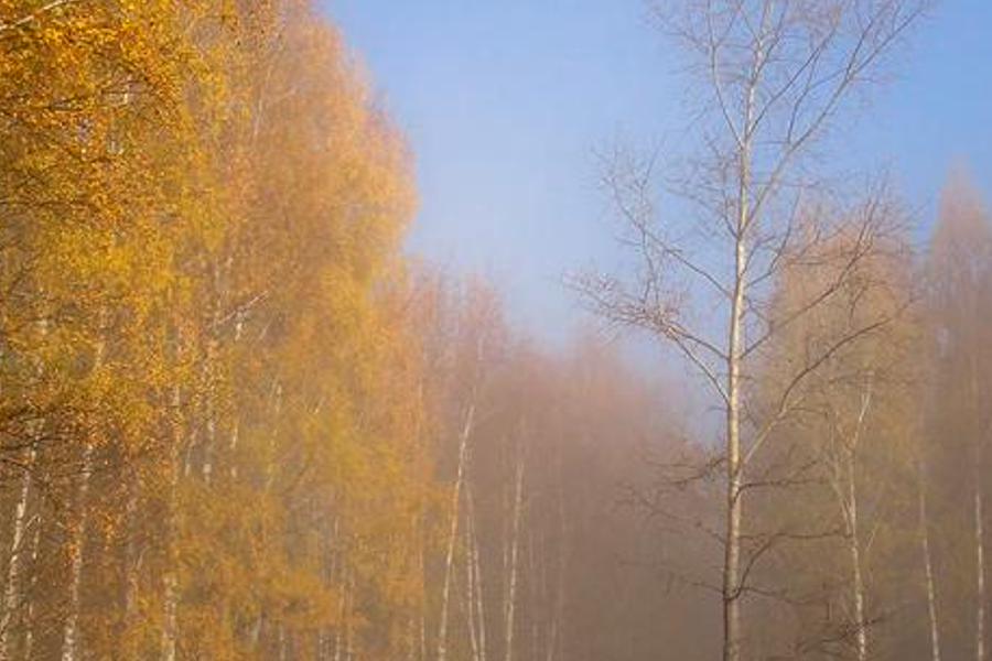undatoulem's profile banner image
