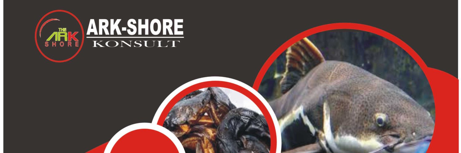arkshore's profile banner image