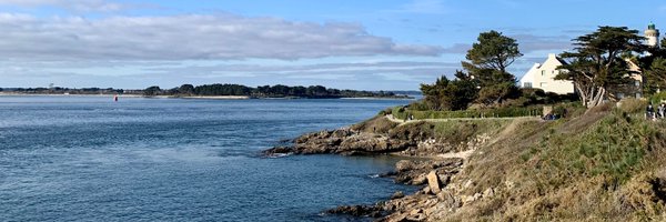 delphinelfv Profile Banner