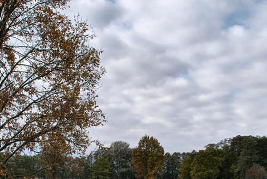 emerearin's profile banner image