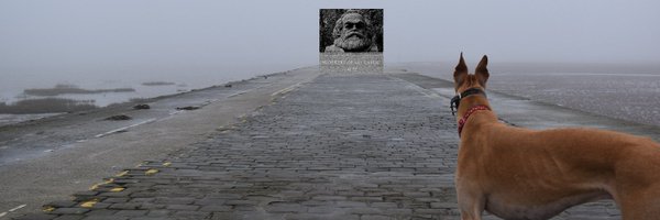SaulStaniforth Profile Banner