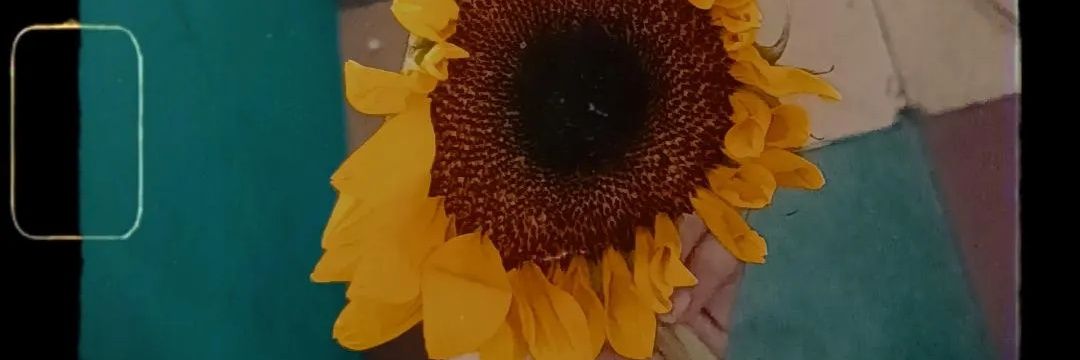 chettmallari's profile banner image