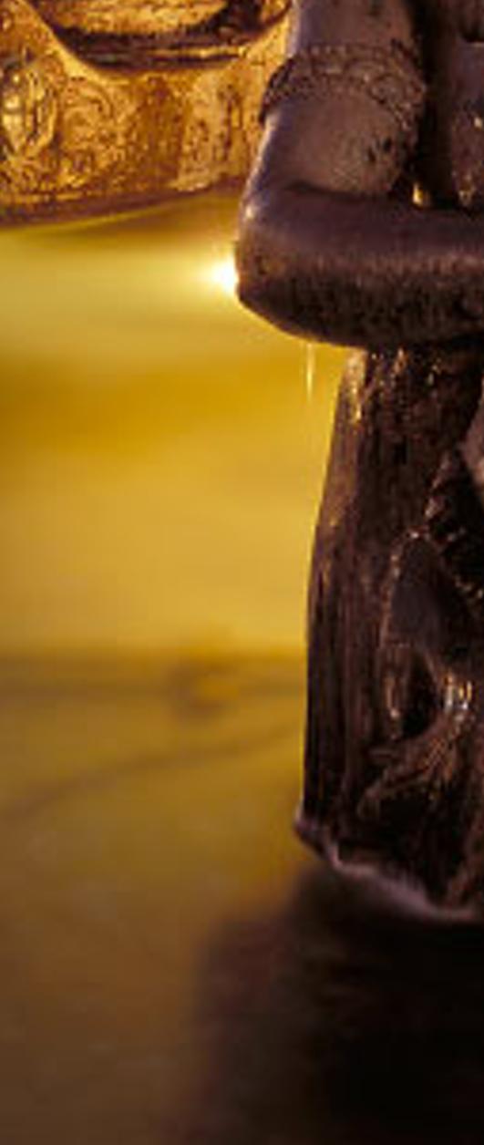 nmiopesedis's profile banner image