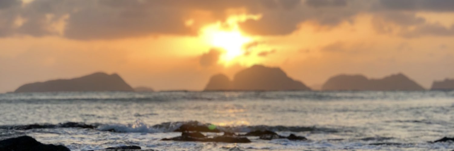 A girl named EJ banner