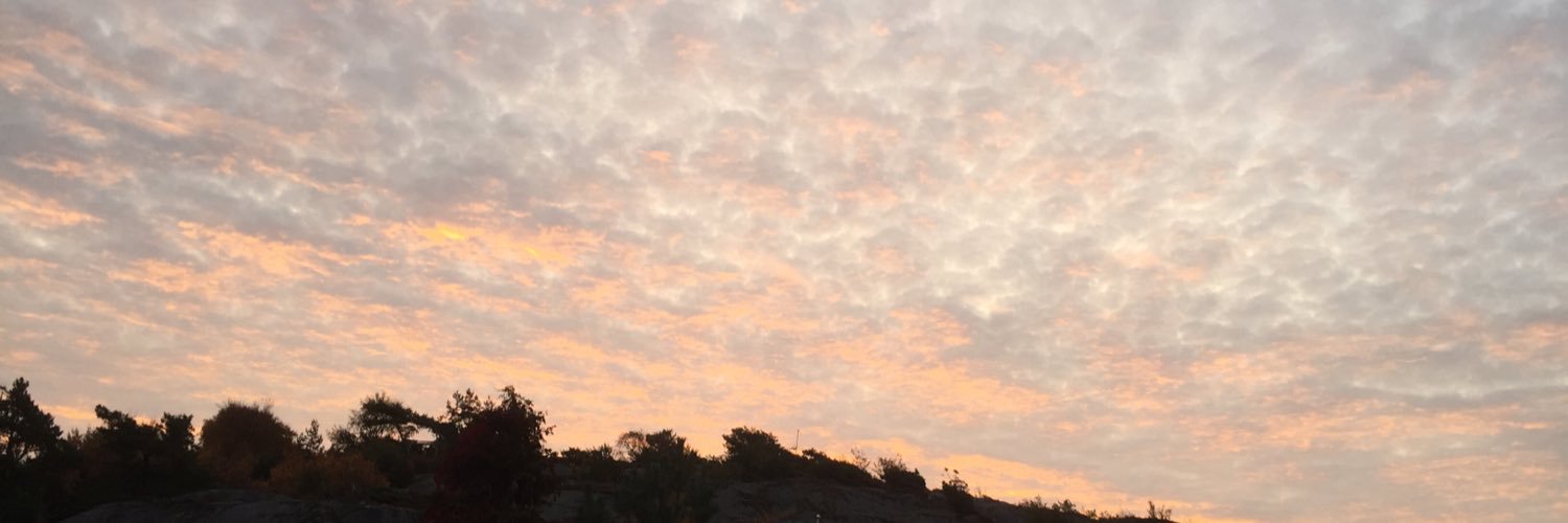 ThereseYdren's profile banner image