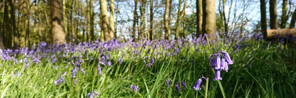 WardEcoloG Profile Banner