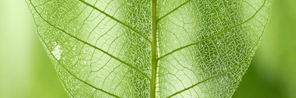_Curiouser__'s profile banner image