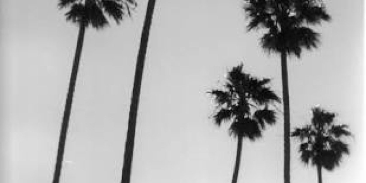 JoElizabethReid's profile banner image