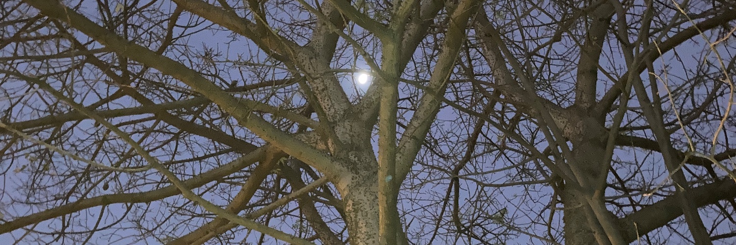 trueouthere's profile banner image