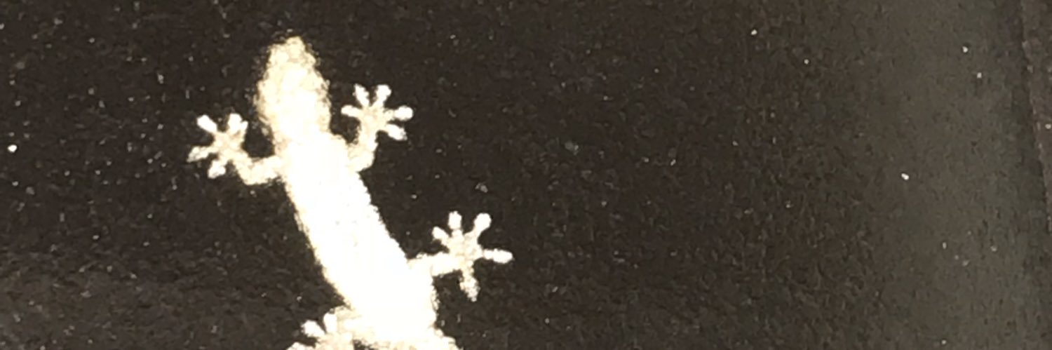 Tadano51's profile banner image