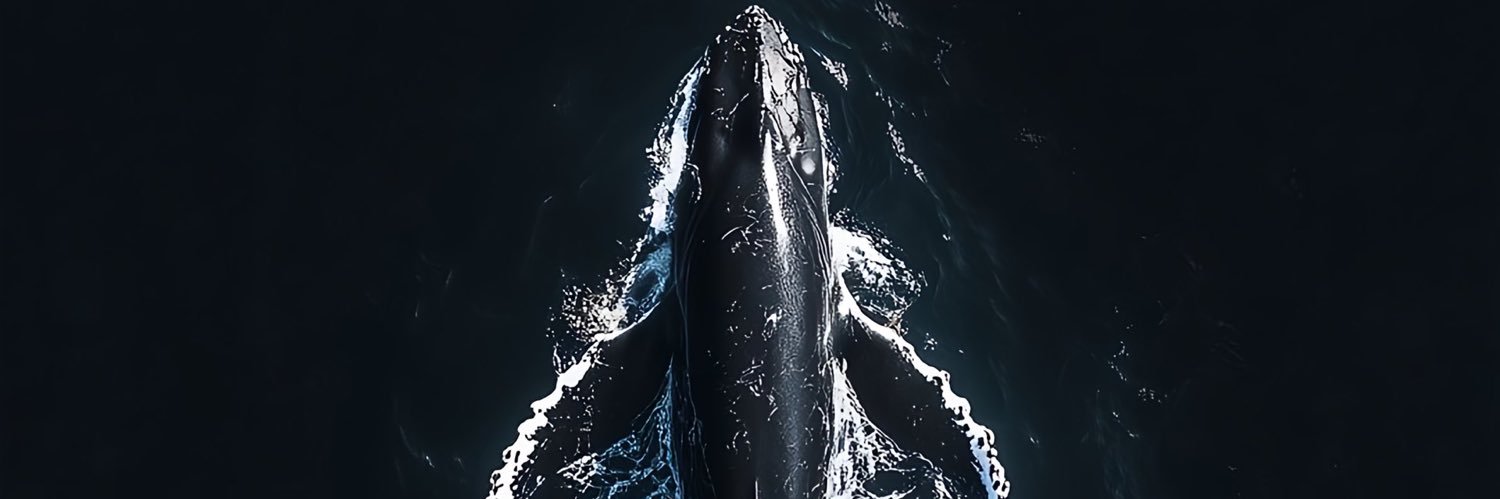 caraigabriel's profile banner image