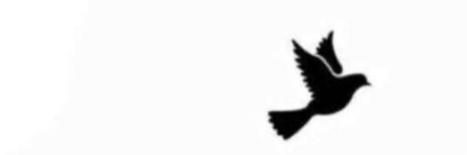 awad_1422's profile banner image