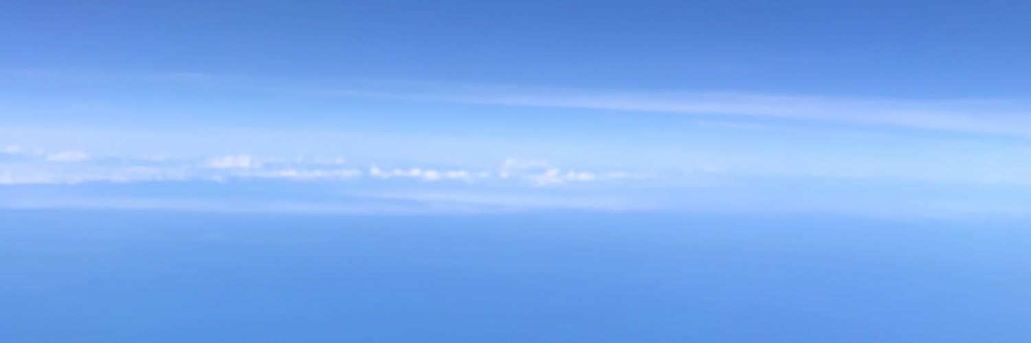 pluming_bee's profile banner image
