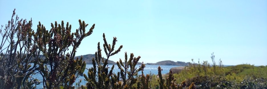 PritaDas's profile banner image