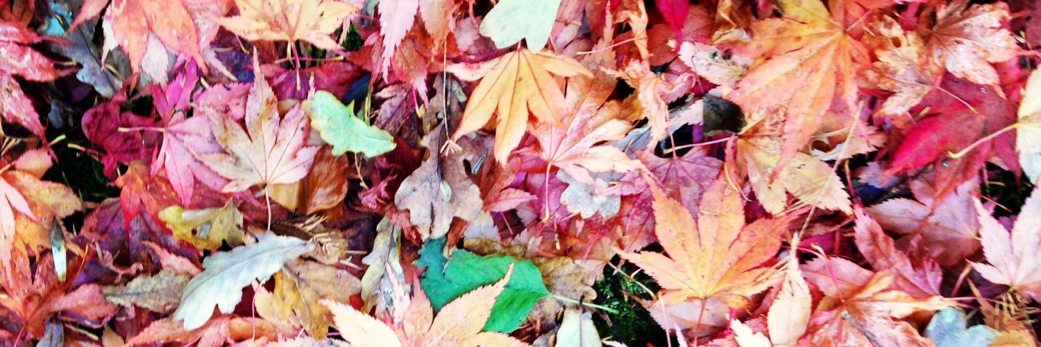 Vikki Leedham banner