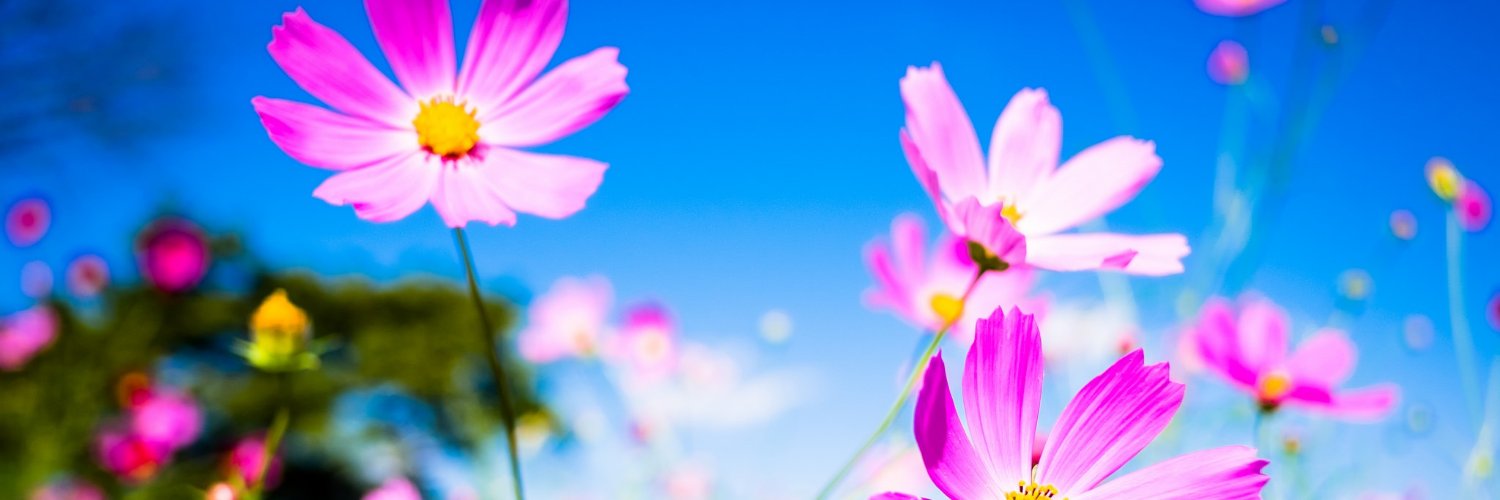 MariaGreece's profile banner image