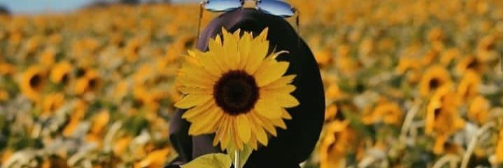 apakabarmuhariini 🌻 banner