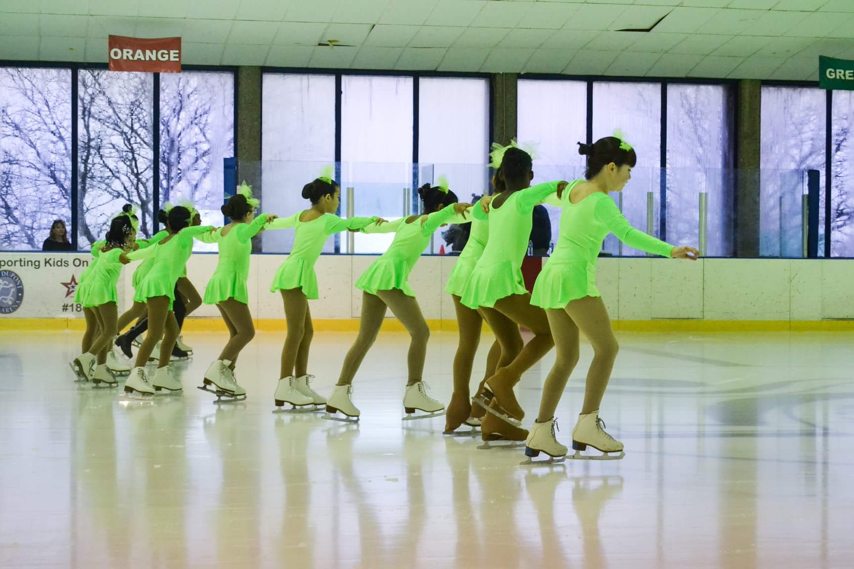 Friends of Fort Dupont Ice Arena banner