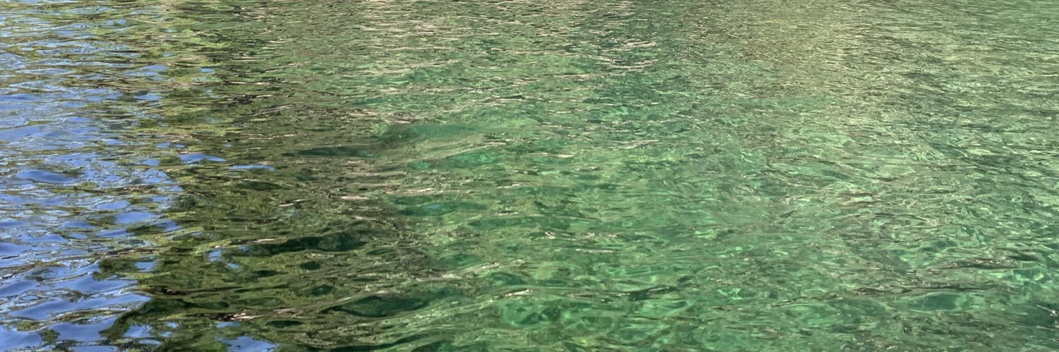 renesaldaa5's profile banner image