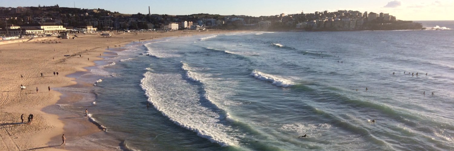 Richard Arber banner