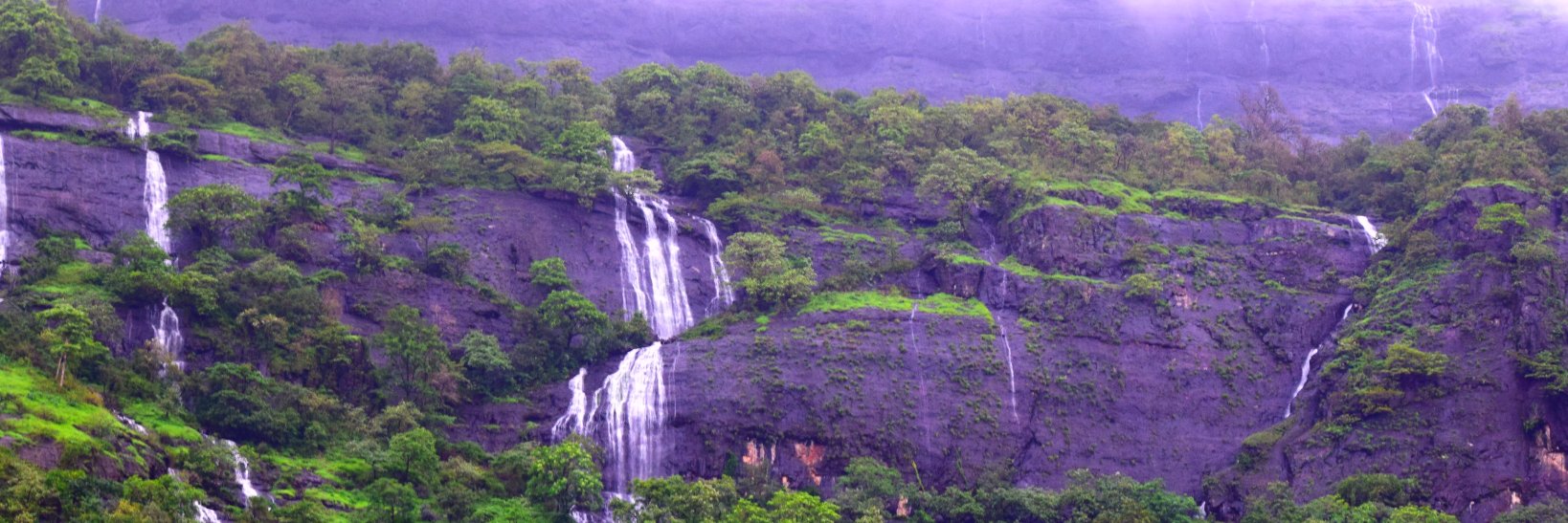 iamiyer06's profile banner image
