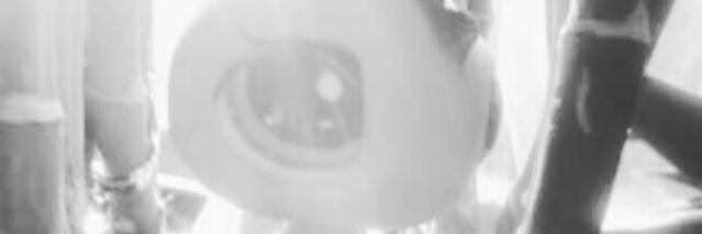 LPSpageTV's profile banner image