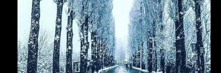 harud_97's profile banner image