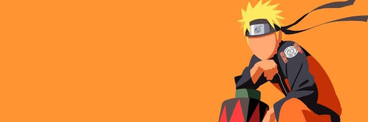 SO banner