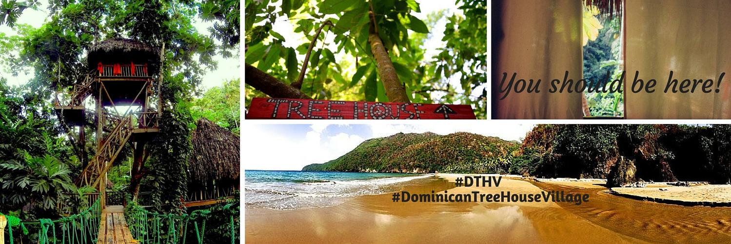 Dominican Tree House banner