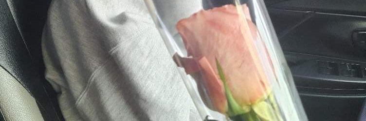 LarlaAliling's profile banner image