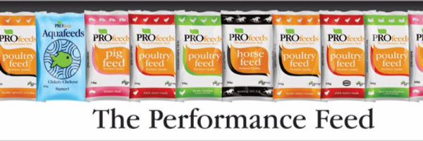 pro_feeds Profile Banner