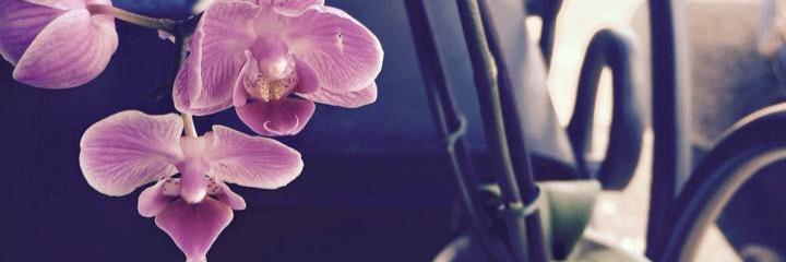 PoutPerfection's profile banner image