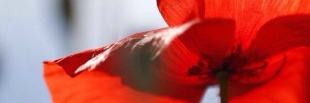 Sabry___'s profile banner image