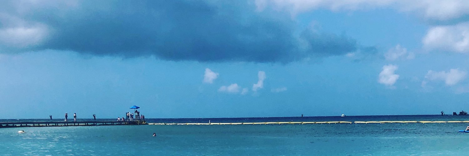 Jesstrichards's profile banner image