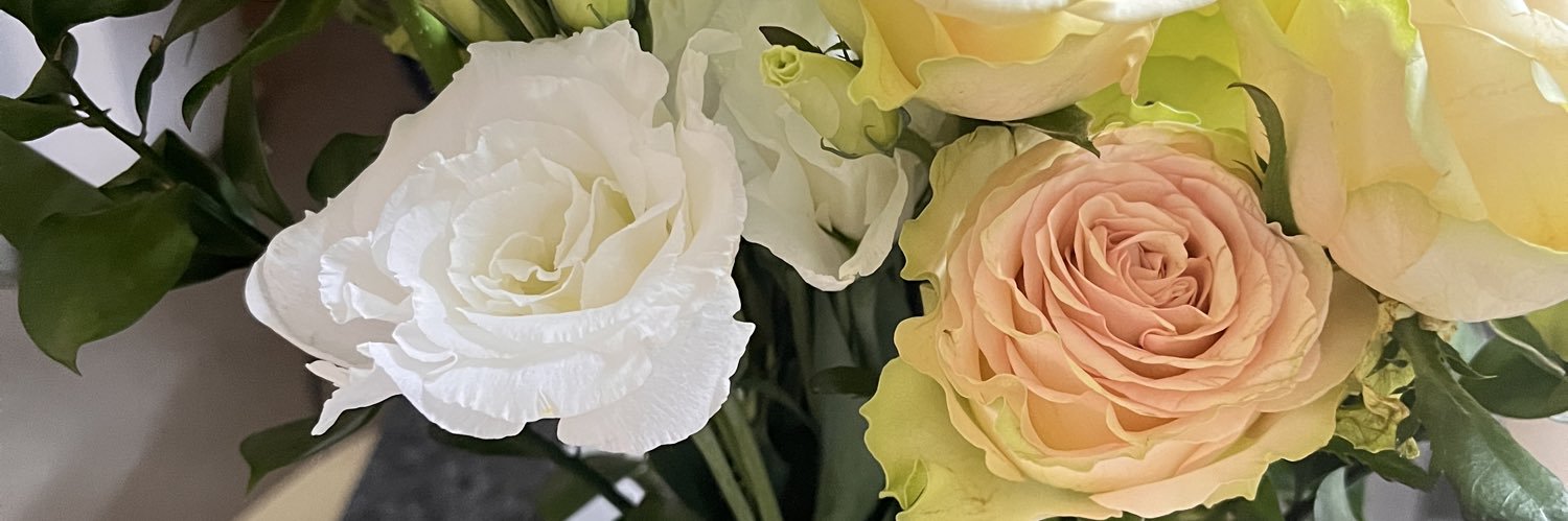 Miss_Thiqueness's profile banner image