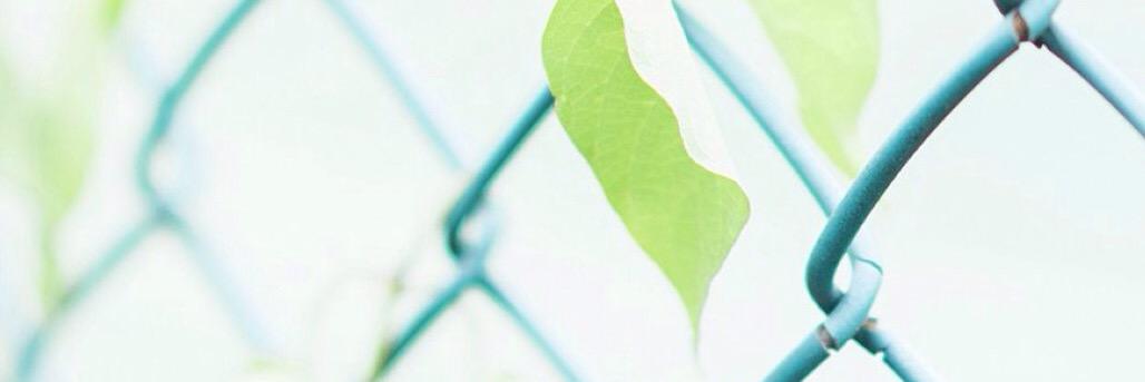 duaa__q's profile banner image