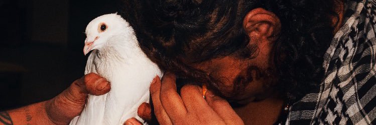 Alêlua 🌙 banner