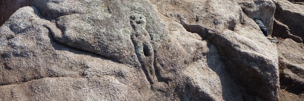 WheelerSkye Profile Banner