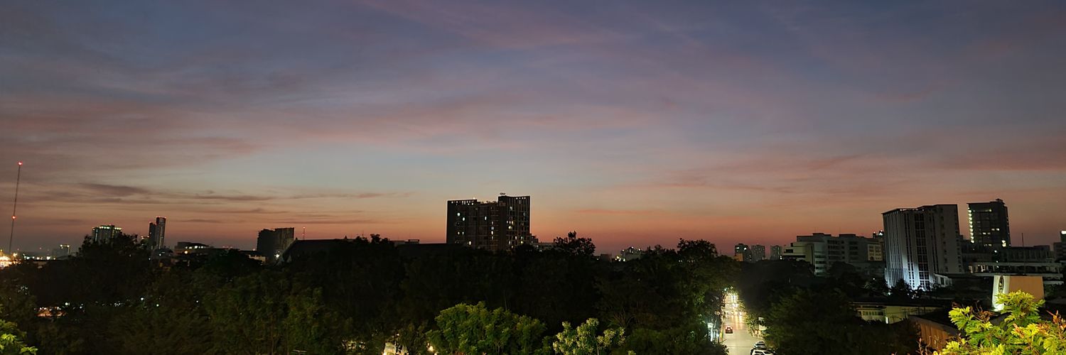 PS_Puifai's profile banner image